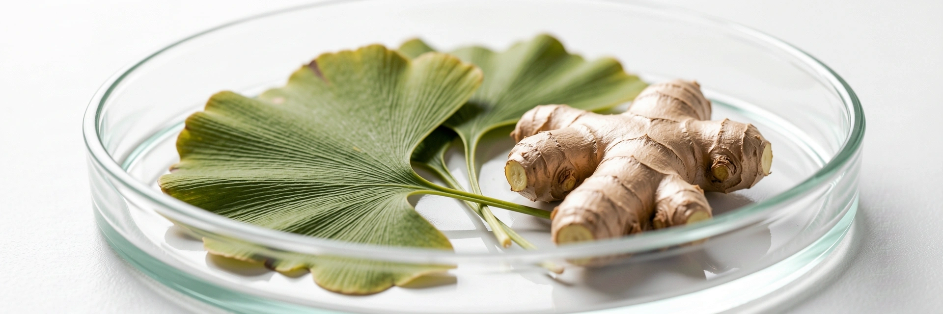 Premium natural ingredients